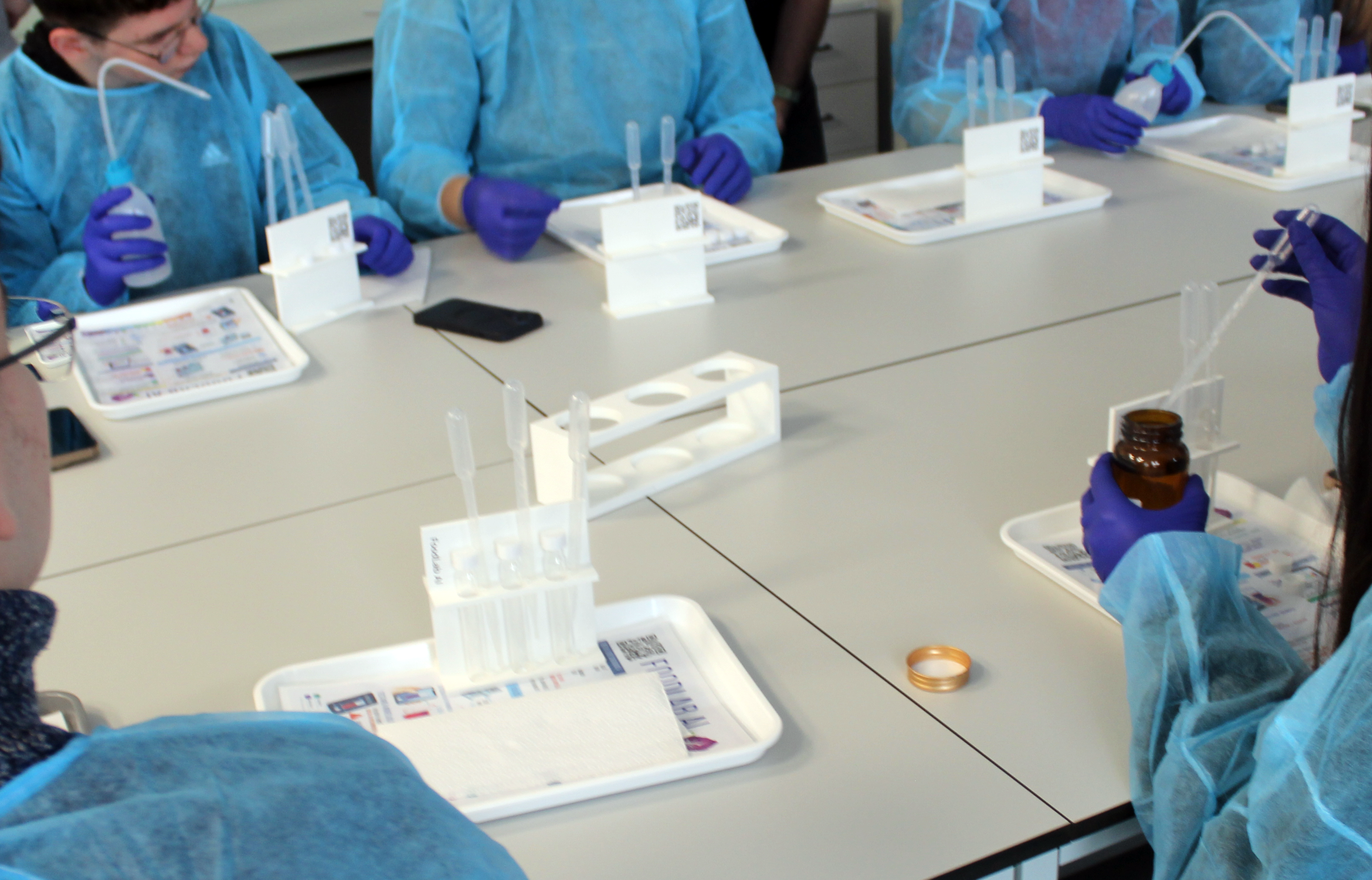 Imagine documentară din atelierul EDU LAB FARM la Rusciori, cadrul 01 din 08.